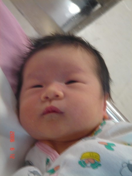 DSC03663