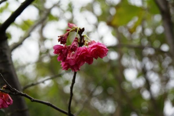 DSC00092.JPG