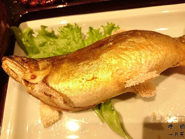 DSC_1233.JPG DSC_1233.JPG