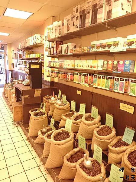 DSC_1072.JPG DSC_1072.JPG