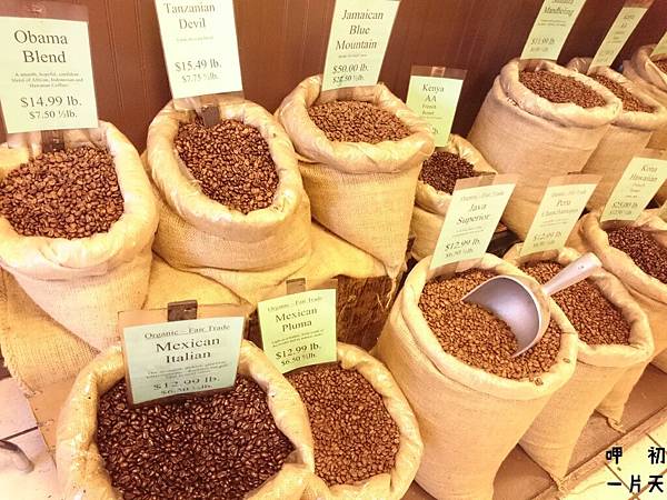 DSC_1067.JPG DSC_1067.JPG