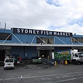 去雪梨魚市場吃海鮮啦~~~