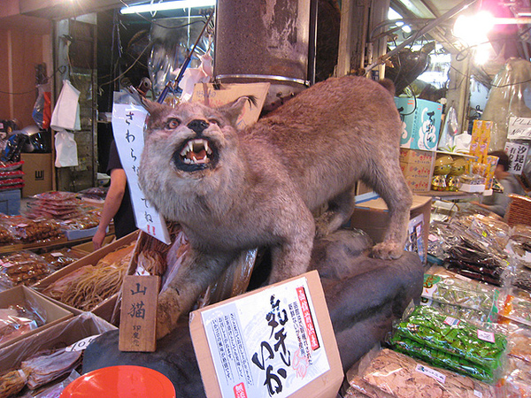 市場