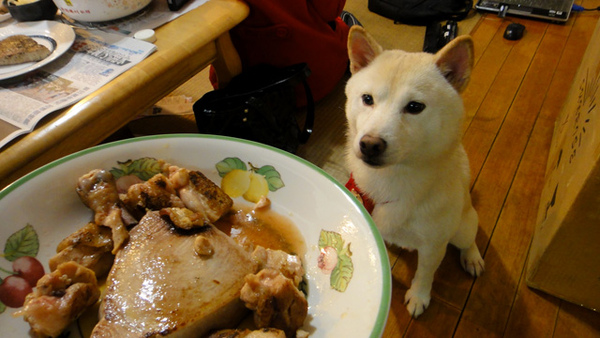 餓的呢^^