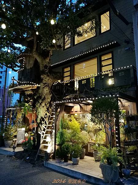 樹屋咖啡-5.jpg 樹屋咖啡-5.jpg