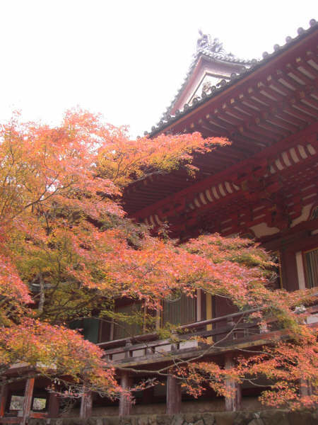 京都的高雄神護寺