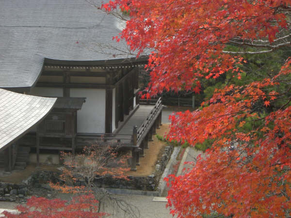 不同角度的神護寺