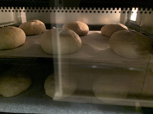 IMG_7791.jpg IMG_7791.jpg