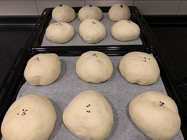 IMG_7795.jpg IMG_7795.jpg