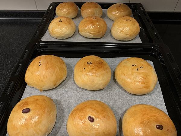 IMG_7801.jpg IMG_7801.jpg