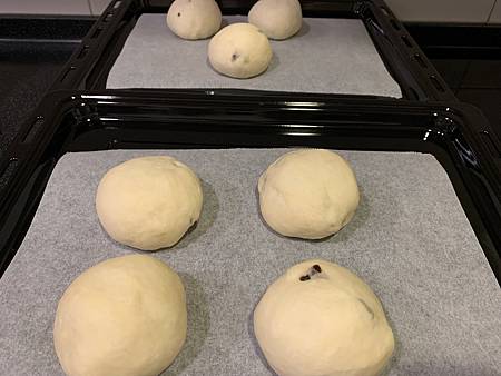 IMG_8885.jpg IMG_8885.jpg