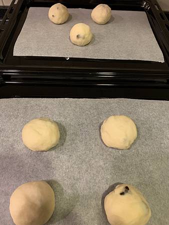 IMG_8882.jpg IMG_8882.jpg