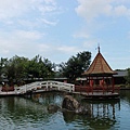 IMG_2252