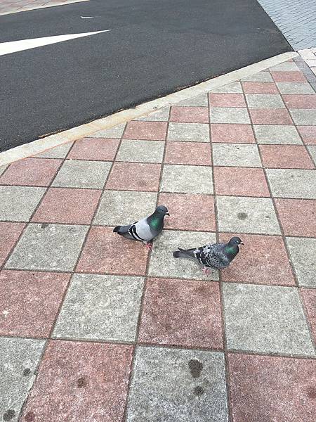 IMG_0885.jpg IMG_0885.jpg