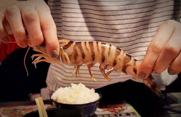 P1430784.JPG P1430784.JPG