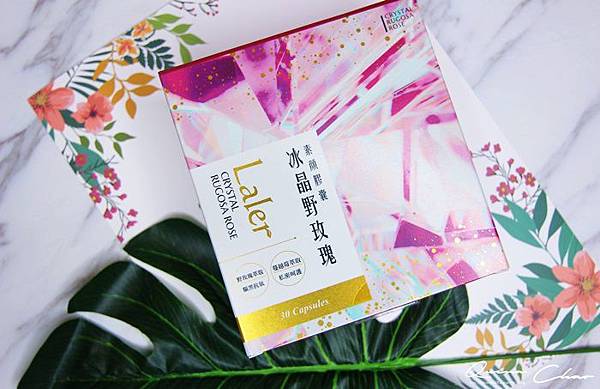 IMG_8568.JPG IMG_8568.JPG