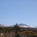 Jeju 060204014.jpg