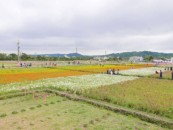 桃園楊梅花彩節1.jpg