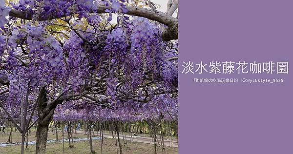 淡水紫藤花園咖啡園0.jpg