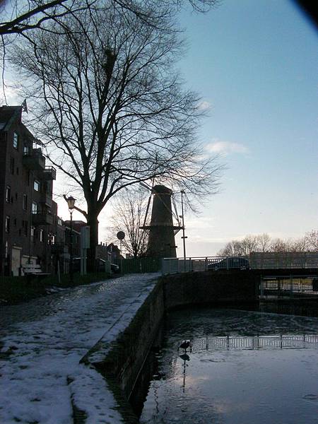 SANY0022.JPG