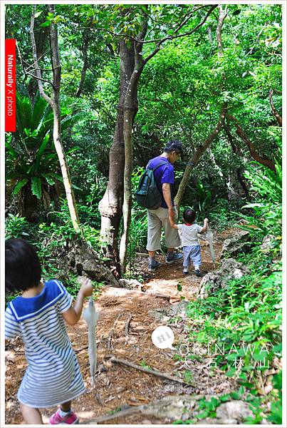 20150614大石林山032