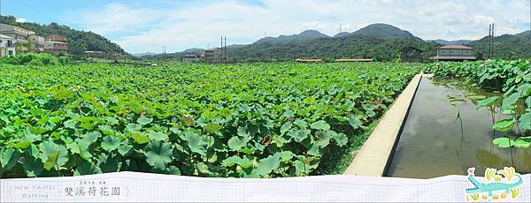 20150625雙溪荷花園全景004