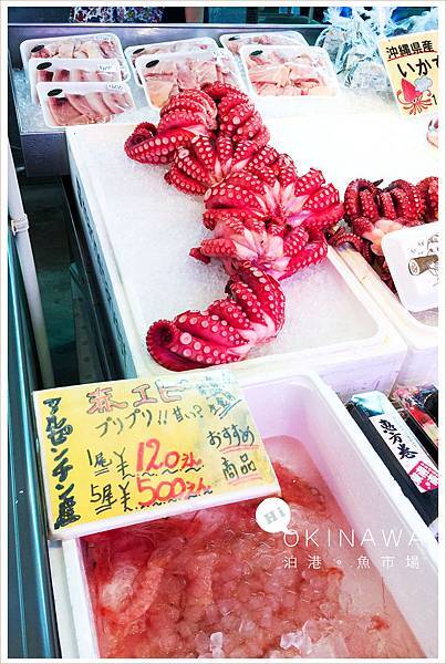 20160203沖繩魚市場008.jpg