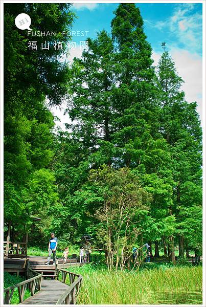 20160615福山植物園004.jpg