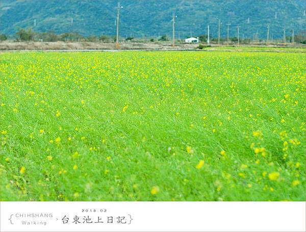 20180204池上068