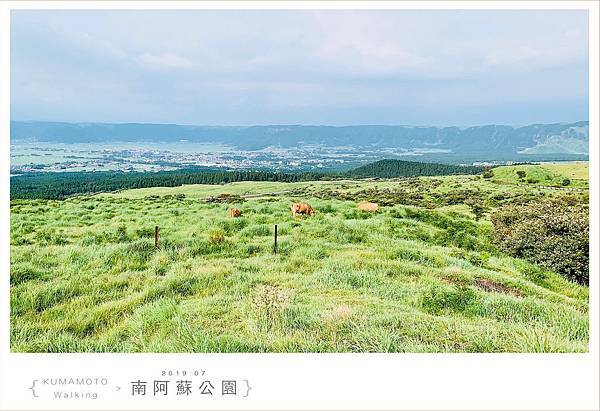 20190726南阿蘇公園061.jpg