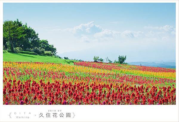 20190727久住花公園018.jpg