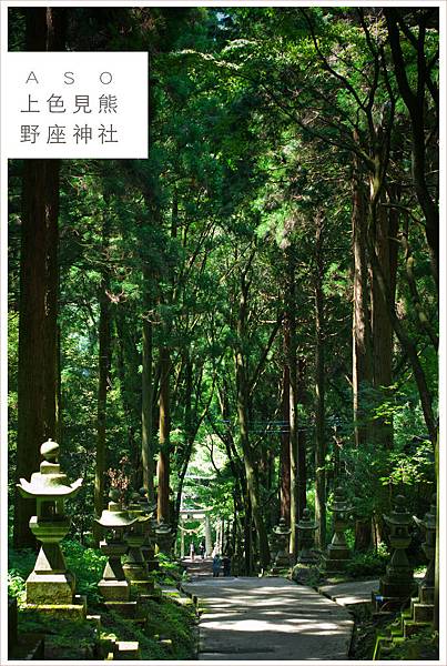 20190727上色見熊野座神社007.jpg