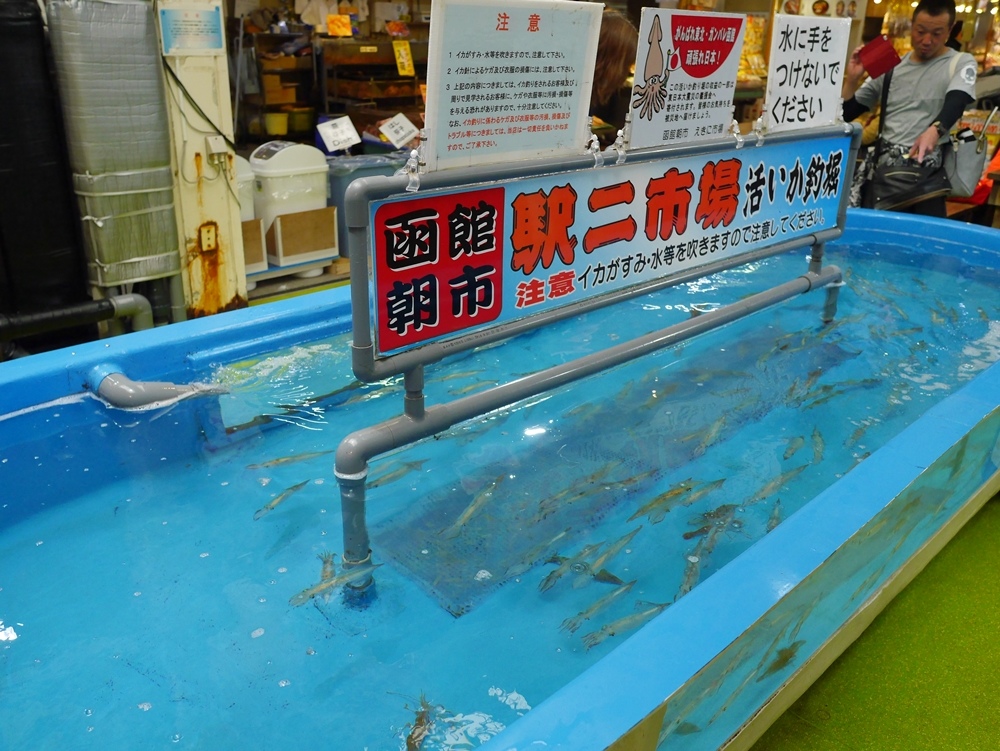 P1610755.JPG P1610755.JPG