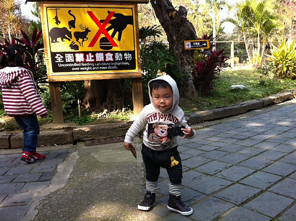 超開心！新竹市立動物園  (年初二)