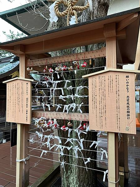 日本遊記｜睽違三年出國就遇到暴風雪！雪國新潟白山神社 北陸信