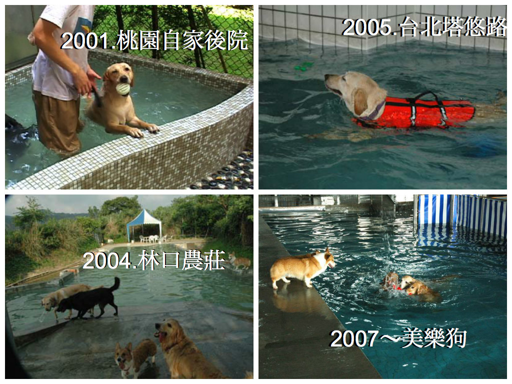 swimming swimming