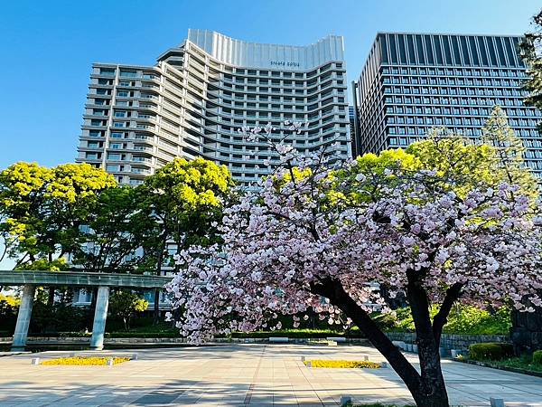 【東京住宿/東京車站】東京皇宮酒店-皇居外苑旁的頂級商務飯店