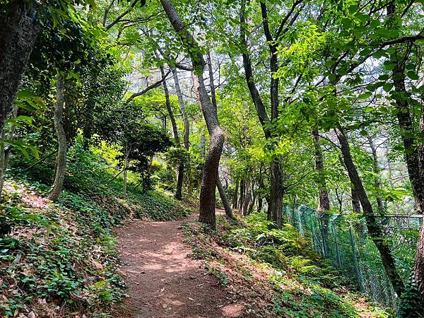 【釜山景點/松島】跨海坐纜車,週末水晶車廂不用久等,到龍宮吊