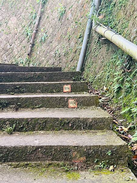 【台北景點/文山區】指南宮千階親山步道-樹蔭多不怕曬,非連續