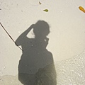 IMG_0916.JPG