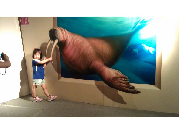 IMAG0181