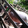 IMAG0276