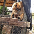 IMAG0290
