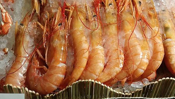 DSC_0053.JPG DSC_0053.JPG