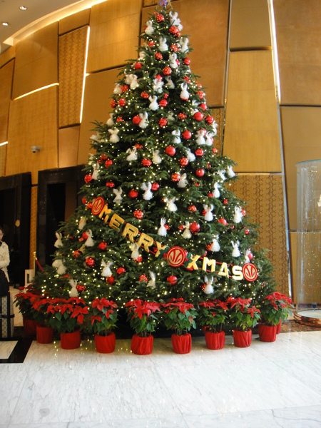 DSC00169.JPG