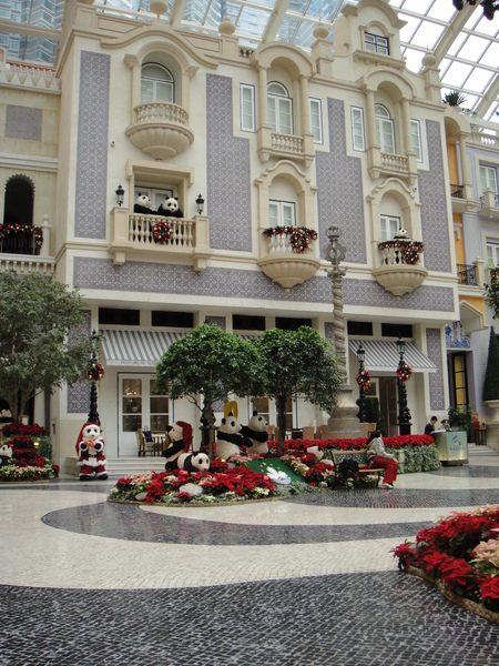 DSC00230.JPG