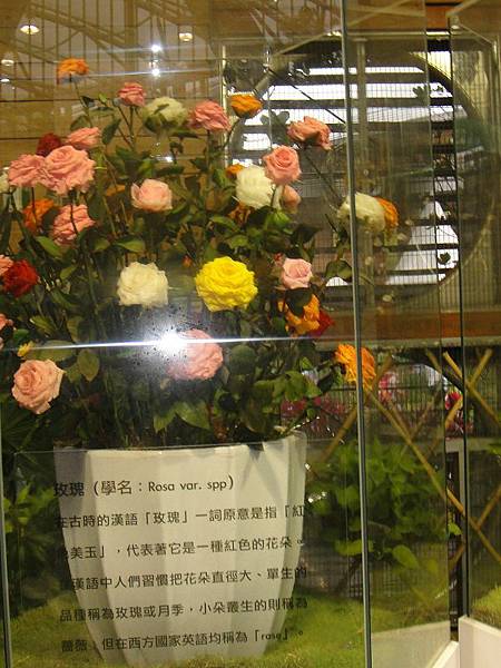 DSC01697(001).jpg