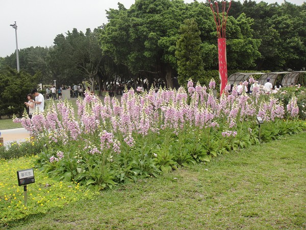 DSC01683.JPG