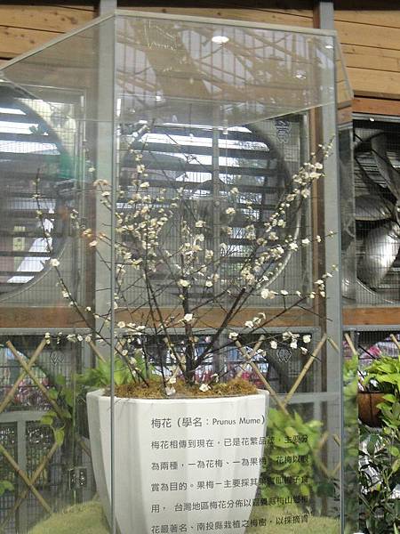 DSC01698(001).jpg