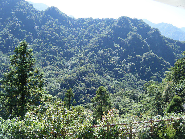 餐廳的風景